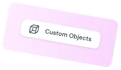 Custom Objects